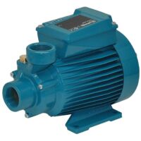 Calpeda Pompe à eau centrifuge à accélération périphérique CT60m 0,33kW 0,45Hp Monophasé 230V qualité professionnelle