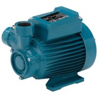 Calpeda Pompe à accélération périphérique CT61 0,45Hp Trois Phases 400V à eau centrifuge jardin industrielle pompe à eau