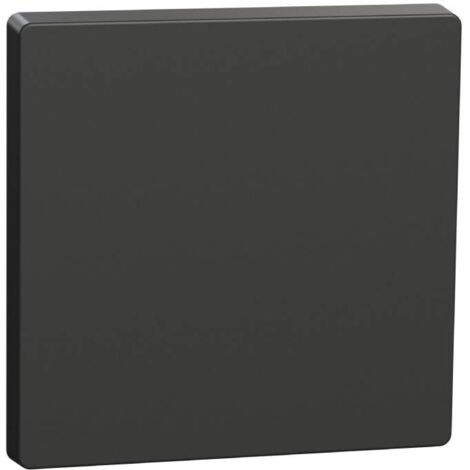 Clé unique Schneider D-Life  Anthracite
