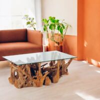 Pier Import – Table basse fixe en verre sur racine de teck recyclé – Longueur 120 cm – Largeur 80 cm – Hauteur 40 cm – Design unique