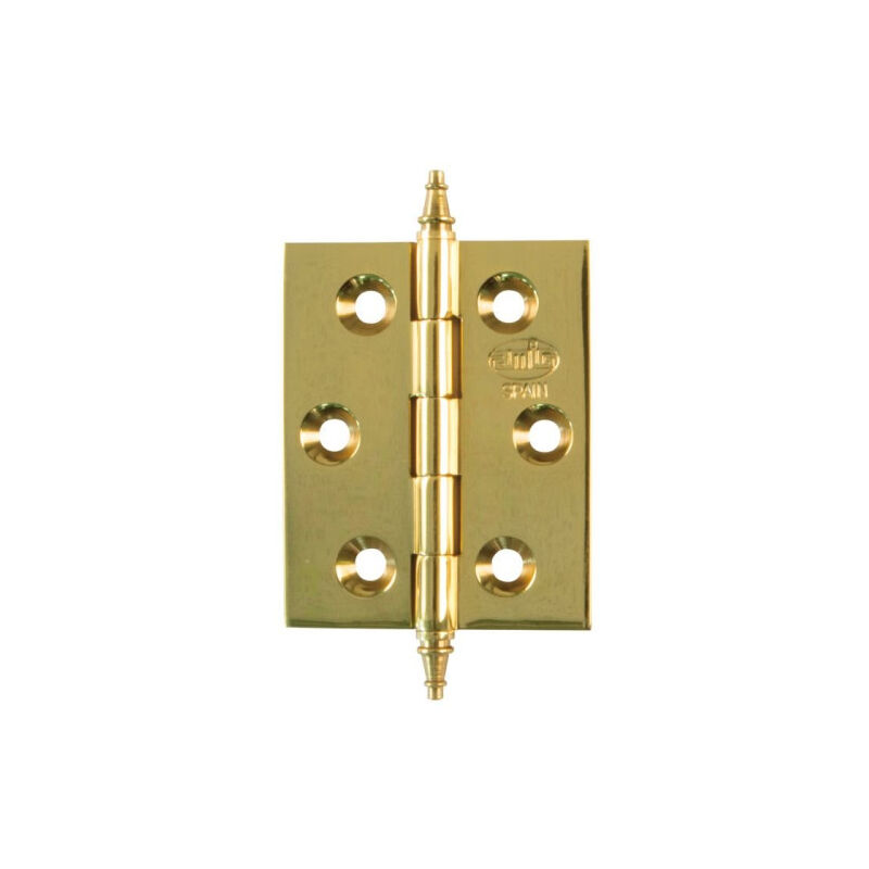 BISAGRA 1003-50X40 LATON PULIDO (N) - AMIG