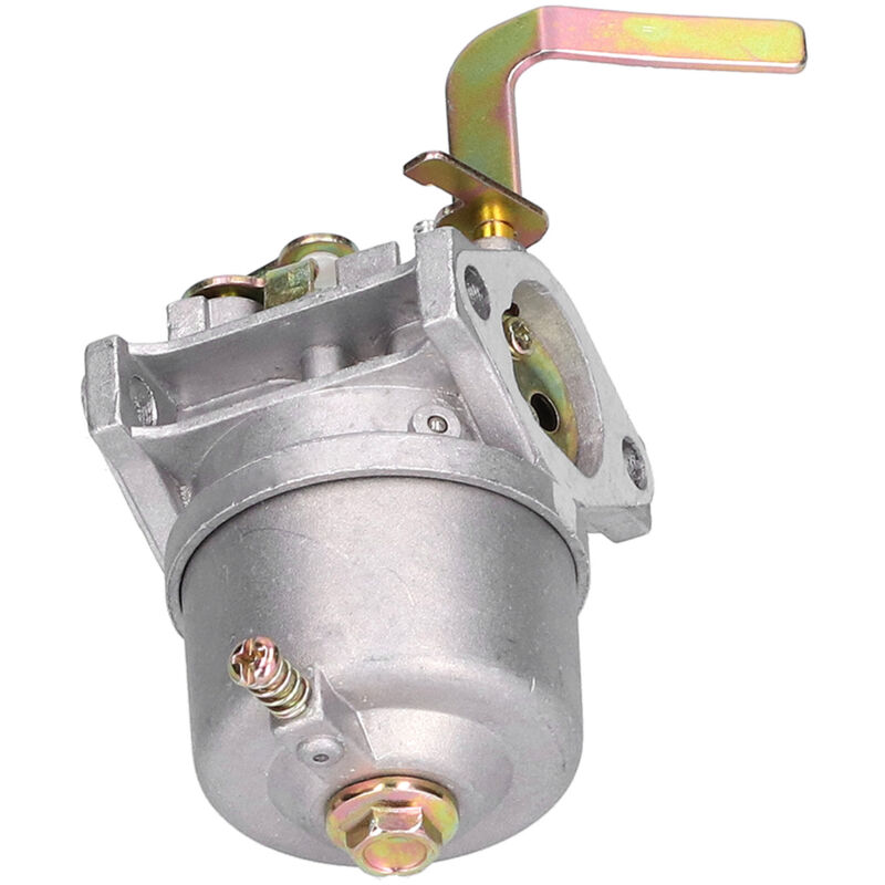 Carburatore Jeffergarden Per Modelli 497586, 498170, 799868 - Ricambio