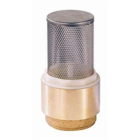 Crépine laiton filtre inox Femelle 2"