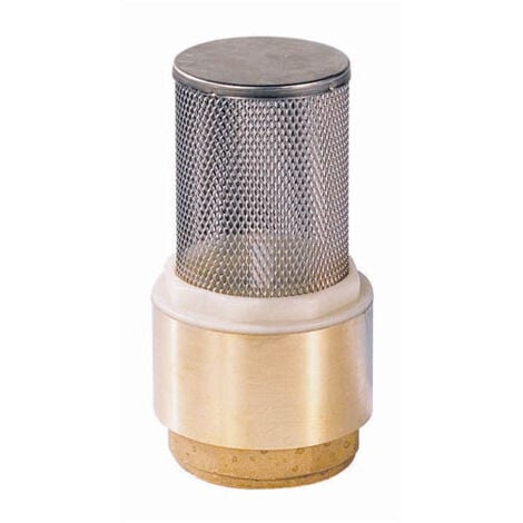 Crépine laiton filtre inox Femelle 2"