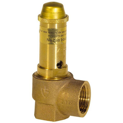 Thermador – Soupape de sécurité en bronze 7 bar – Diamètre de raccordement 1' – Protection contre surpression – Installation sur arrivée d'eau froide