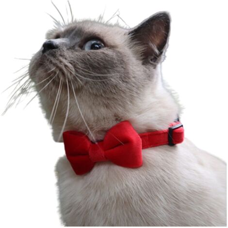 Katzenhalsband Mit Glckchen Katzen Halsbnder Samt Katzenhalsbnder  Abnehmbarer Katzenhalsband Mit Schleife Katzenhalsband Mit  Sicherheitsverschluss Fr Ktzen