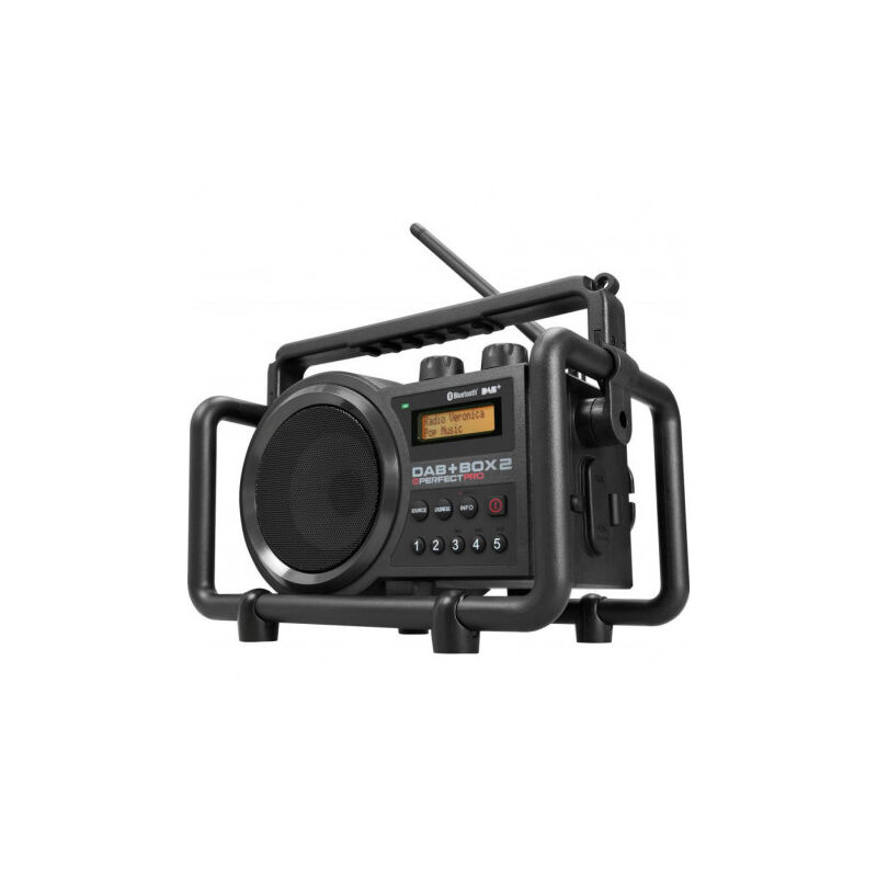 UE RF-D10EG-K black - Radio, FM, DAB+, fonctionnement sur secteur