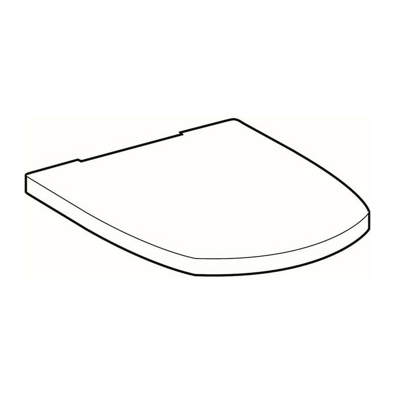 Abattant WC VITELLE m De détachable charniere chromé we