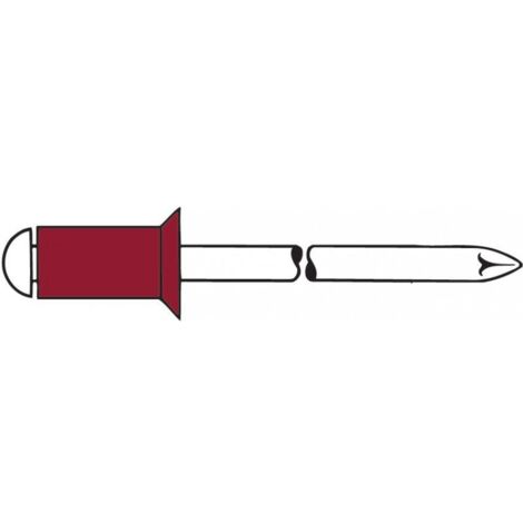 Rivet Nickel-cuivre/A2 4,8 x10mm SK Gesipa(Par 500) (1/2)