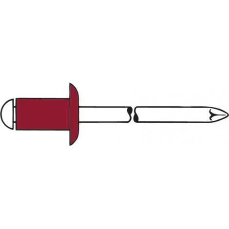 Rivet Nickel-cuivre/A2 4,8 x25mm Gesipa(Par 250) (1/2)