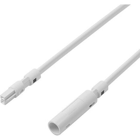 Rallonge à 3 conducteurs 1 mètre blanc Electro Dh 36.762/1/B 8430552115747