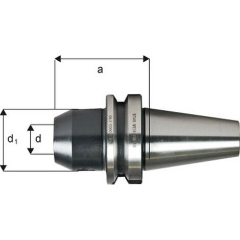 Mandrin porte-outils System Weldon, porte-outils DIN JlSB 6339 (MAS-BT), d : 32 mm, MAS-BT 40, a 100 mm, d1 : 72 mm (1/4)