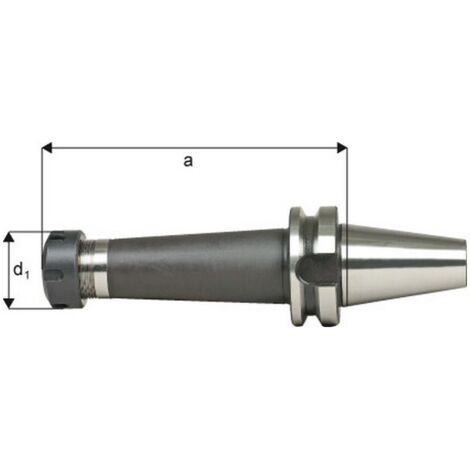 Mandrin à pinces, type ER DIN 2080 avec arrosage central, Capacité de serrage : 3,0-26,0 mm, MAS-BT 50, Pince de serrage ER40, a : 100 mm, d1 : 63 mm (1/4)
