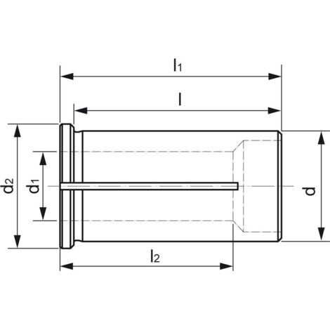 Douille de réduction, d : 20 mm, d1 6 mm, L 51 mm, L1 : 55,5 mm (1/3)