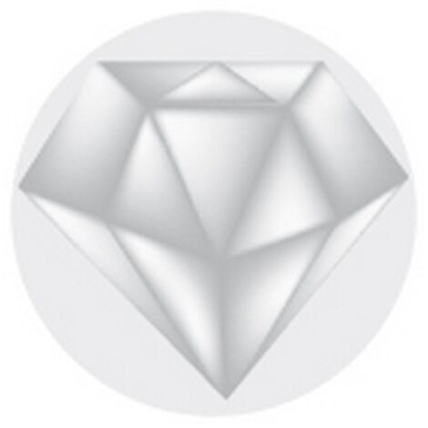 Pierre à aiguiser diamantée, 25 x 100 mm, Grain : N 20