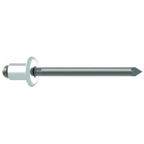 Rivet POP tige de rivet d x l 5 x 14 mm acier inoxydable 500 un. GESIPA 500 pièces (1/4)