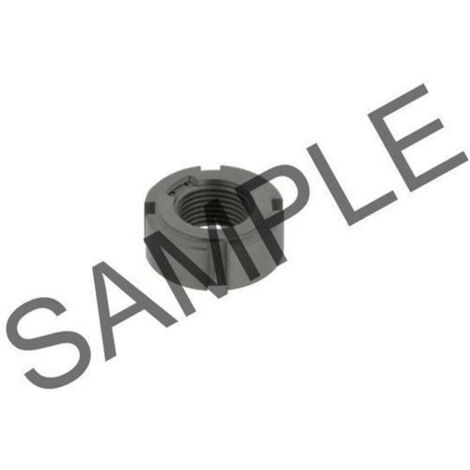 Ecrous HMV12 EBF 43mm 32kg Ext 125mm SNR (1/2)