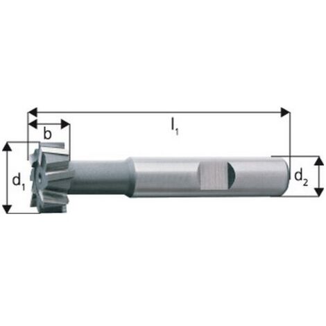 Fraise pour rainures en T, Ø x Larg. : d1-d11 x b - d11 : 28,0 x 12 mm, Long. totale l1 85 mm, pour rainures en T, DIN 650 16, Ø de col env. : 13,0 mm (1/5)