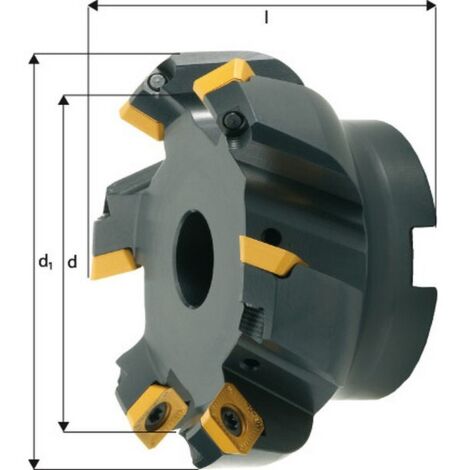 Fraise à surfacer à 45° arrosage interne, Ø d : 50 mm, Nombre de dents 4, Ø du perçage de positionnement 22 mm, Dimensions Ø d1 : 63 mm (1/3)