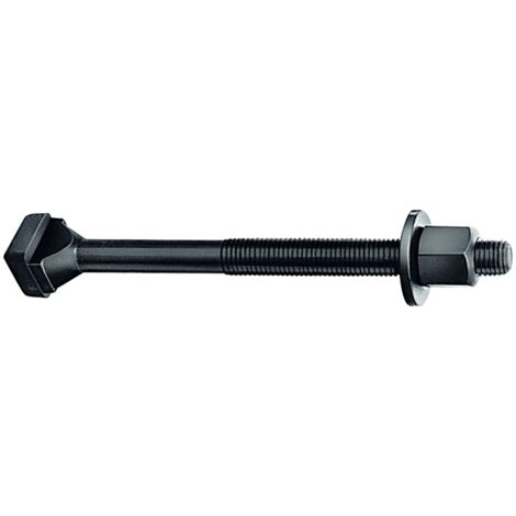 Vis pour rainure en T DIN 787 rainure en T 42mm M36 L.160mm Classe de qualité 8.8 m.Mutter u.Scheibe AMF (1/2)