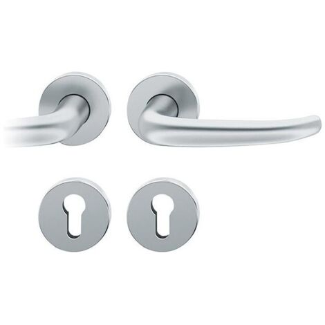 Poignée porte. Acier inoxydable PZ, 76 1023 (1/5)
