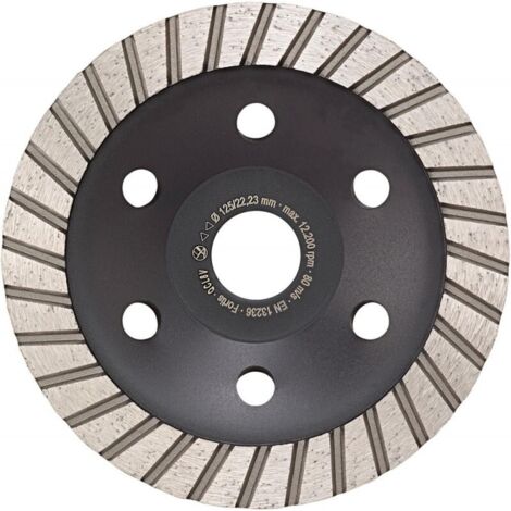 Plateau diamanté Power Duo Ø 125 mm 2 rangées Alésage 22,2 mm FORTIS (1/2)