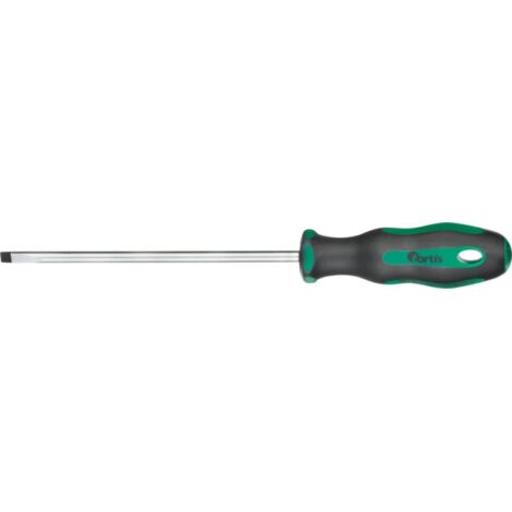 Tournevis 35x06x100mm FORTIS (1/3)