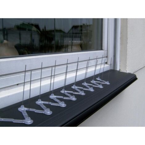 Pics anti pigeaon L 1,0 m plastique CircumPRO (1/3)