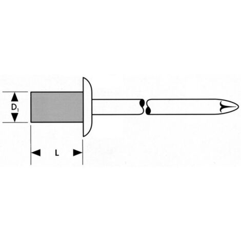 Rivet Stand. a 75 unités Tête ronde plate 4,8x10mm FORTIS (1/3)