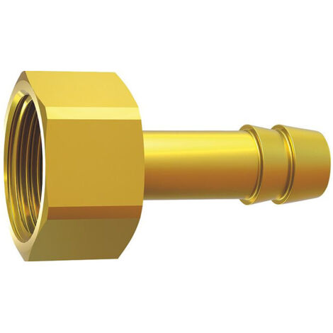 Raccord laiton IG G3/4 LW 16 SW 30mm RIEGLER (1/2)