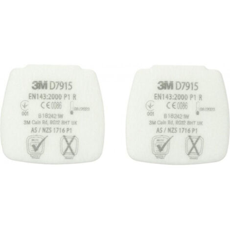 Filtres particules D7915 P1 R 3M (Par 2)