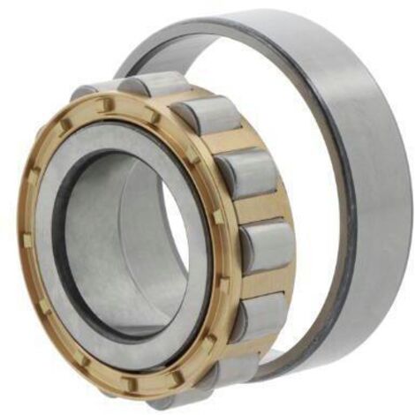 Roulements à rouleaux cylindriques 45mm Ext 200mm Int 95mm foret cylindrique .FAG (1/2)