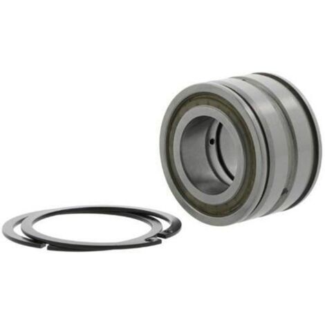 Roulements à rouleaux cylindriques 36mm Ext 62mm Int 35mm foret cylindrique .INA (1/2)