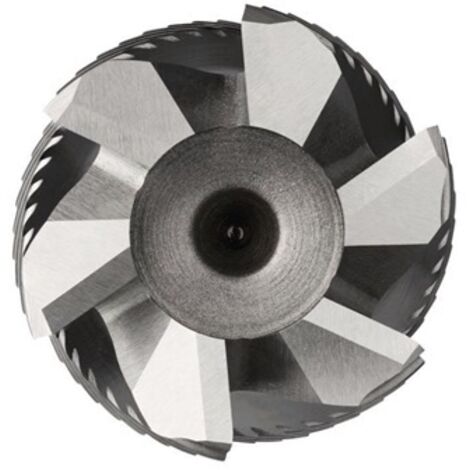 Fraise C403 Gesamt-L.252mm L.171.5mm HSS-E Brut 30 degrés Z.6 DORMER (1/3)