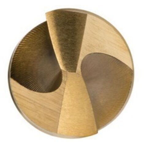 Foret hélicoidal TypN A002 D.13.49mm HSS Brut/TiN Queue cylindrique droite s DORMER (1/5)