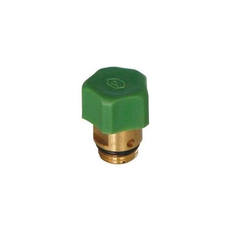 Robinet de vidange 1/4" pour Vanne d'arret (1/2)