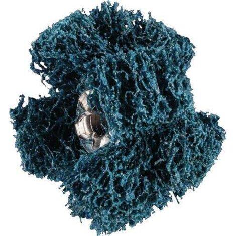 Étoile de ponçage Polinox T 19-2 A 180 Pferd 1 PCS (1/5)