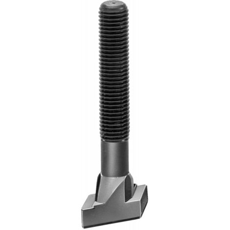 Vis pour rainures en T M24x28x100mm AMF (1/2)
