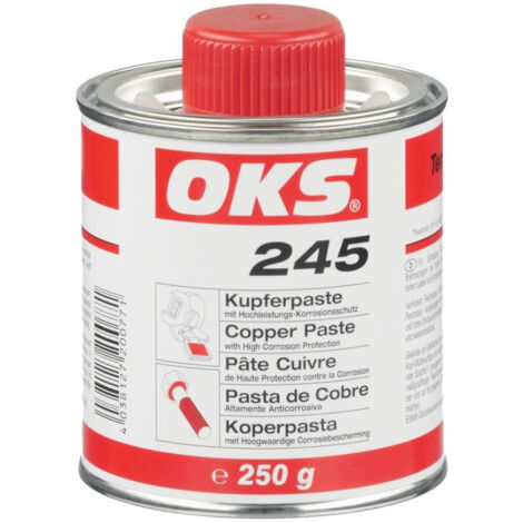 Pte de cuivre avec protection anticorrosion haute performance 245 250 ml (1/5)
