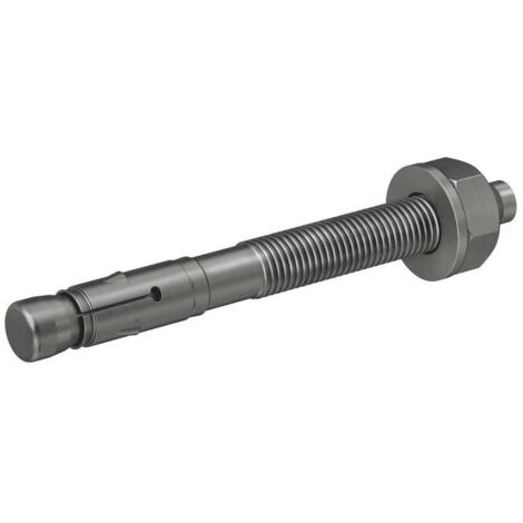 Fischer Goujon FAZ II 10/100 A4 (Par 20)