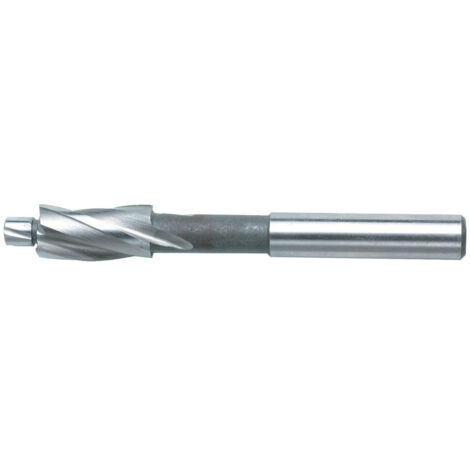 Fraise DIN373 F M12 HSS FORTIS (1/5)