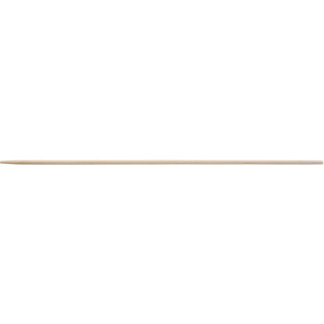Manche En Bois Conique 150 Cm Pour Râteau Plastique Saturnia – Remplacement Ergonomique Et Solide