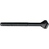 Vis pour rainure en T (DIN 787) rainure en T 16mm M16 L.250mm Classe de qualité 8.8 AMF