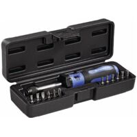 Jeu de tournevis dynamométriques 13 pièces 1-5 Nm réglable PROMAT