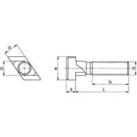 Vis pour rainures en T M24x28x125mm AMF