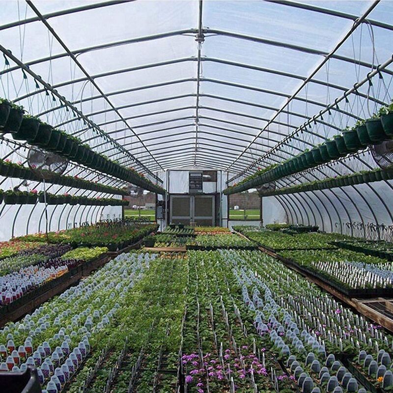 14 Lastre Policarbonato Cavo 4mm - 60.5x121cm, Trasparenti, Per Serre E Tetti - Foto 3