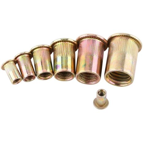 100/20 Stücke Nietmuttern Set M3-M12 Kohlenstoffstahl Flache Gewinde Nietmutter Flansch Rivnut Nutsert Verschluss(M12/20pcs) (1/4)