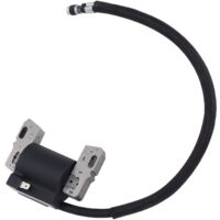 Ej.Life Zerodis Zündspule für 492341 490586 491312 495859 715231 591459 Motor Lawm Mäherteile