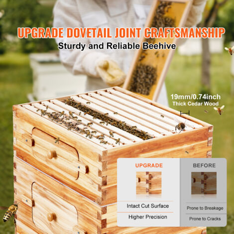 Flow Hive Bienenstock-Starter-Set – Selbstfließe Produktbild-Vorschau 2