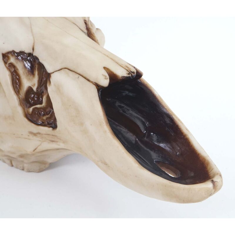 Trofeo Testa Di Toro Longhorn Teschio Decorativo 45 Cm Trofeo Da Parete - Foto 11